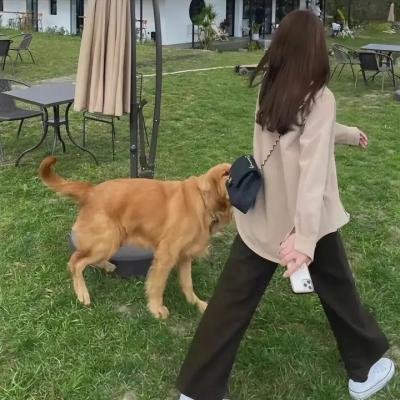 燕子符